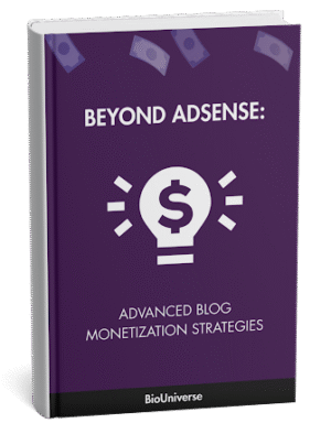 store__product-image__a517e6fe-38f0-49d3-af88-b5871120b0fc Beyond AdSense: Advanced Blog Monetization Strategies